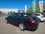 Skoda Octavia Combi Active - Skoda Octavia Active mit Benzin-Antrieb