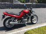 Suzuki VX 800 - Angebote entsprechen deinen Suchkriterien