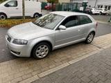 Audi A3 1.6 *Tüv07/27 - Audi A3 aus 2003: 1.6