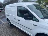 Volkswagen Caddy Maxi Kasten  - Volkswagen Caddy Maxi in Leverkusen
