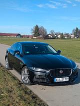 Jaguar XE P250 SE Facelift Ambilight volldigit. Cockpit - Jaguar XE: Se