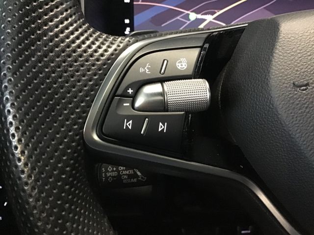 Fahrzeugabbildung Skoda Karoq Sportline 1.5 TSI DSG/Navi/ACC/Matrix/PDC