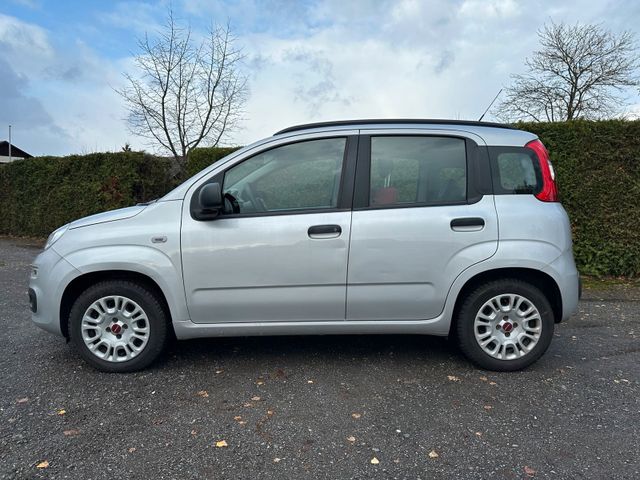 Fiat Panda 1.2 grau / 55KW 75PS / 21600km ...