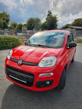 Fiat New Panda 1.2 8V EASY EASY - Fiat New Panda aus 2017