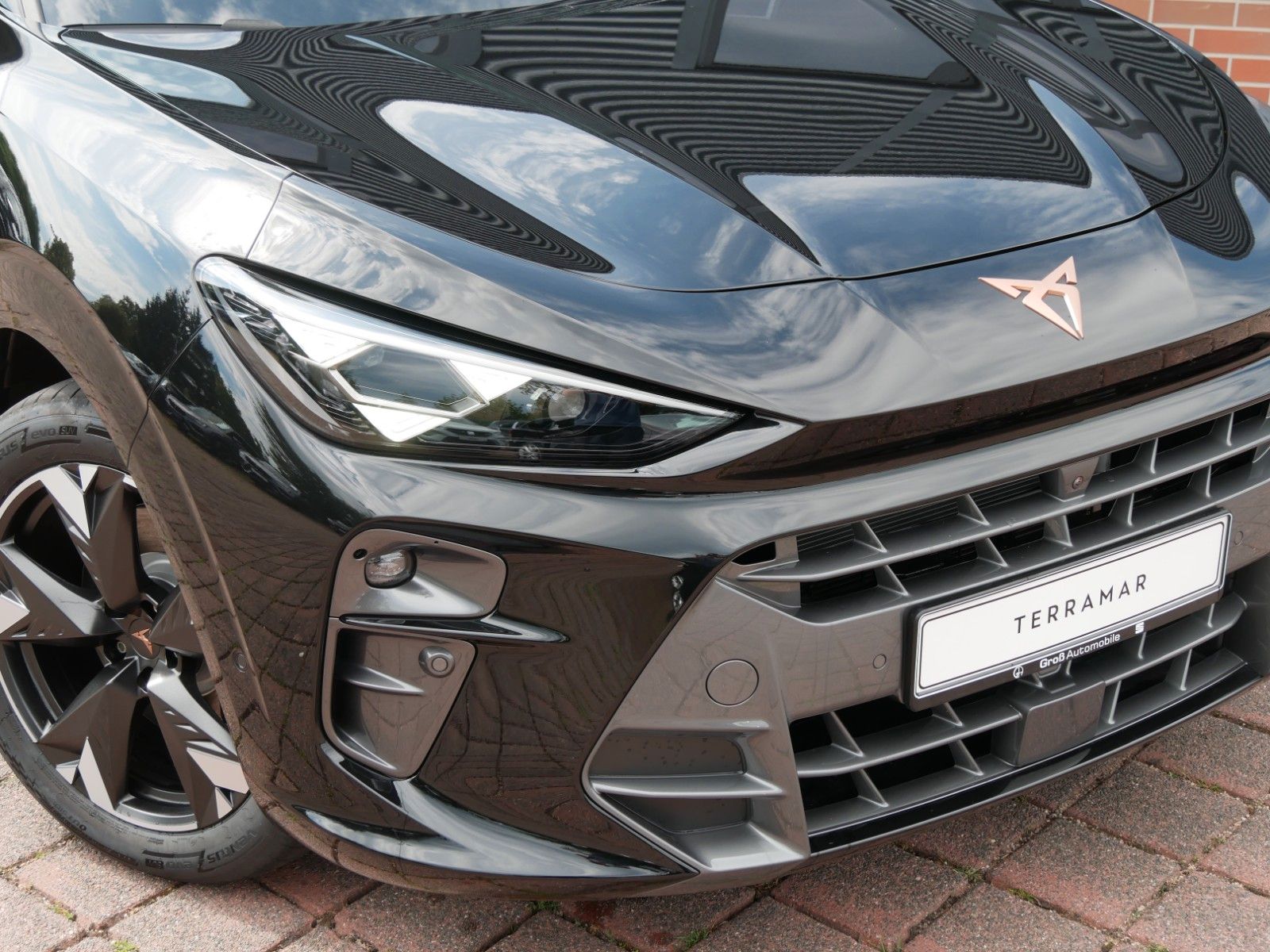 Cupra Terramar - Bild 6