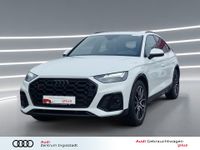 Audi SQ5 - Vorschau Bild 1