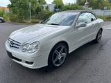 Mercedes-Benz CLK 350 Cabriolet - Mercedes-Benz aus 2007: Cabrio, Clk