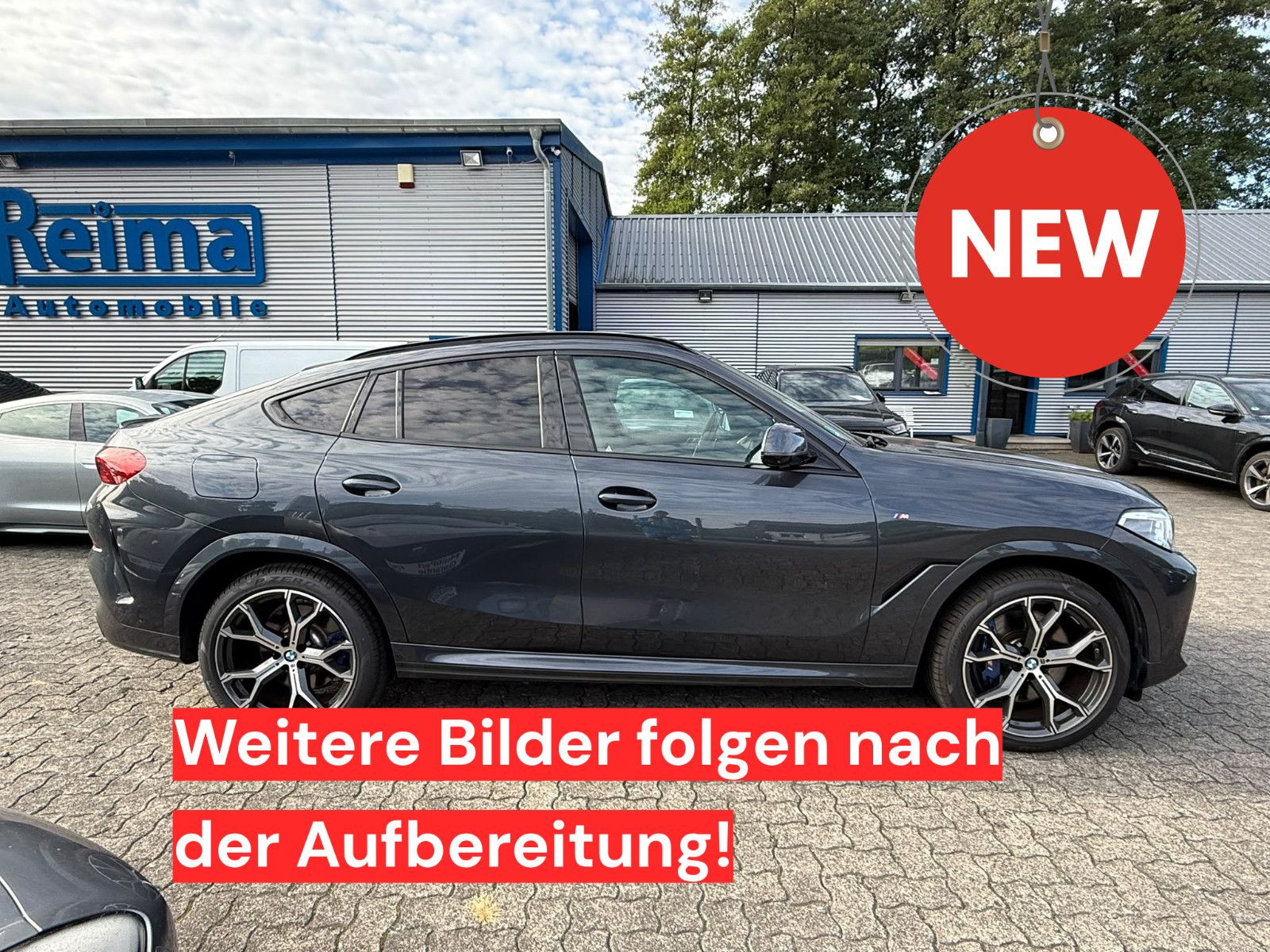 BMW BMW X6 M50 i, Laser, HUD, Pano, AHK