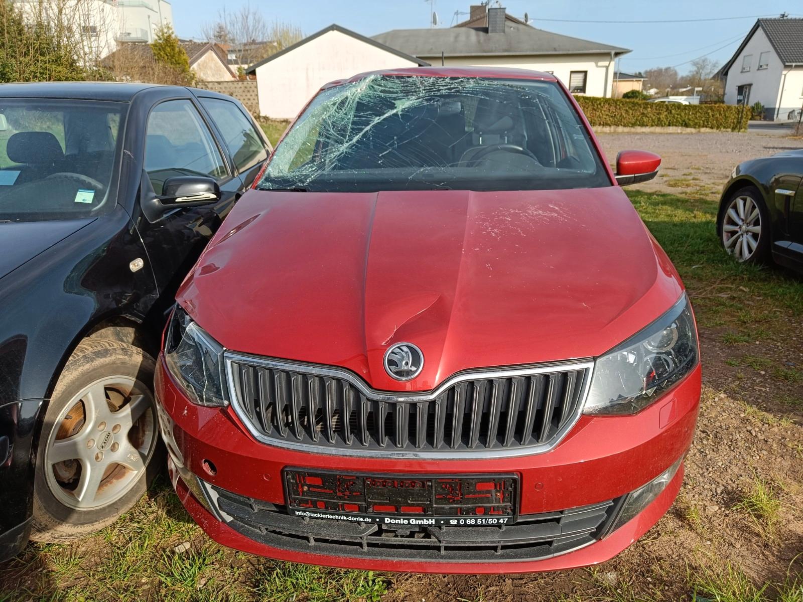 Skoda Fabia Joy