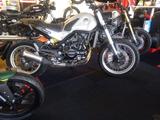 Benelli Leoncino 500 X Trail NEU - BENELLI LEONCINO 500 TRAIL