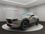 Mazda CX-30 NAGISA ++KAMERA+BOSE+LED++ - Mazda: Grün