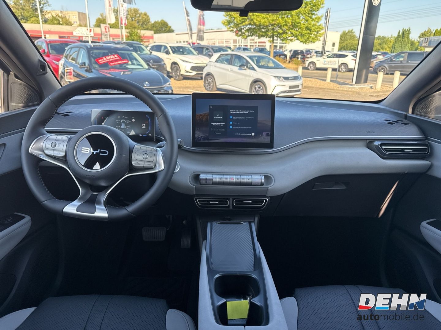 BYD DOLPHIN SURF