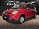 Fiat Panda 1.0 PDC Klima DAB Touch Garantie - Fiat Panda Gebrauchtwagen in Dortmund