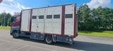 Mercedes-Benz Actros 1851 - Mercedes-Benz Actros 1851