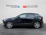 Mazda CX-30 Centre-Line 2,5l Matrix-LED/Navi/Kamera/He - Mazda CX-30 Centre-line mit Hybrid-Antrieb (Benzin/Elektro)