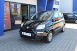 Fiat Panda Lounge - Fiat Panda: Schwarz