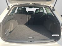 Cupra Leon - Vorschau Bild 15