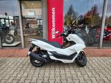 Honda PCX 125  ( WW 125 ) Vorführkrad - Offers