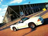 Ford 1992 Mustang GT Cabrio Foxbody - Ford Mustang in Freiburg