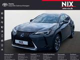Lexus UX 250h 2.0 Hybrid Style Edition LED KAMERA - Lexus Gebrauchtwagen in Frankfurt