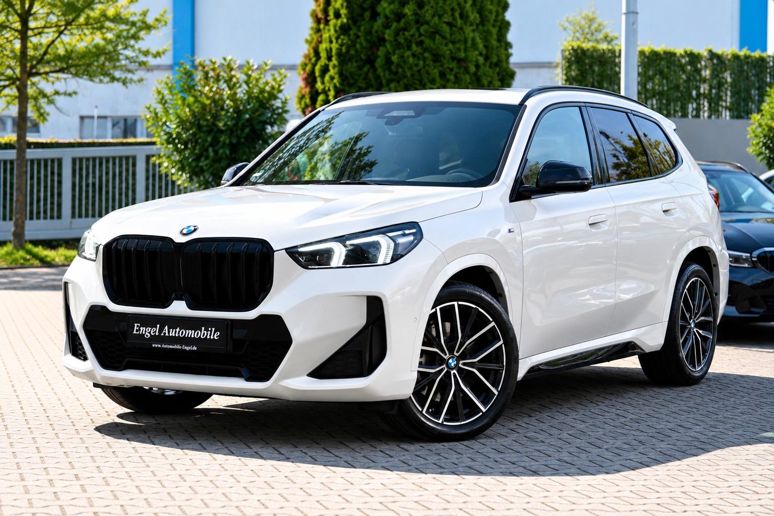 BMW X1 23 d xDrive M Sport 360Kam ACC
