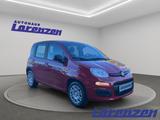 Fiat Panda Mild Hybrid 1.0 70PS Klima DAB Spurhalteas - Fiat Panda aus 2025