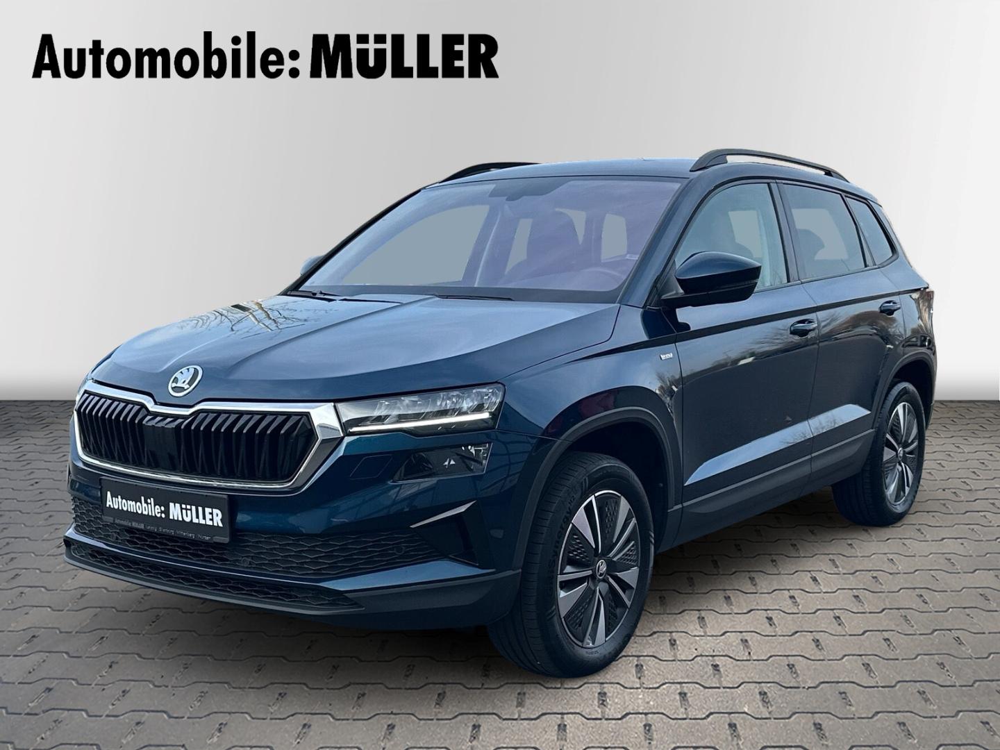 Skoda Karoq Tour 4x4 2.0 TDI 110 kW 7-Gang-DSG*Rückfah