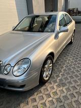 Mercedes-Benz Wolfsburg Wolfsburg - : Wolf