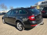 Skoda Octavia 2.0 TDI DSG Combi Scout 4x4 Standheizung - Skoda Octavia: Scout Combi