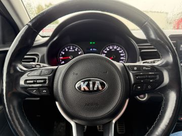 Kia Rio Platinum Edition+Navi+Kamera+SHZ+