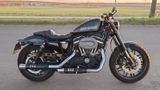 Harley-Davidson Sportster Roadster 1200 - Offers matching your search criteria