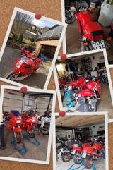 Ducati 750 Sport Pantha 600 TL 600 SS - DUCATI 750 SS