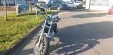 Harley-Davidson SPORTSTER - HARLEY-DAVIDSON 1999