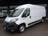 Fiat FIAT Ducato MAXI 35Q 2.3MJT 160CV PLM-SL- L4 Fur - Fiat Ducato: 160