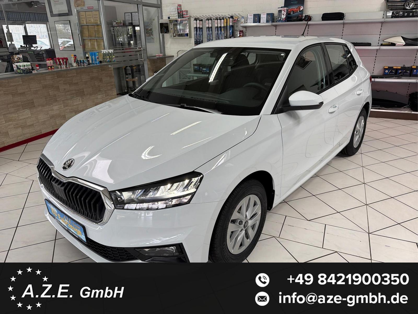Skoda Fabia 1.0 MPI 130 Jahre *PDC*GRA*SH*KAMERA*AP...