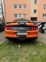Ford Mustang 5.0 Ti-VCT V8 GT shelby  - Ford Mustang in Köln