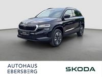 Skoda Karoq - Vorschau Bild 1