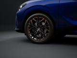 Cupra Terramar VZ 2.0 TSI 4D HD-Matrix PANO AHK Headup - Cupra Terramar: 2.0