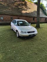 Audi A3 8l 1,6 102 PS 5 Türer - Audi A3: 5türer