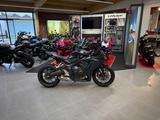 Honda CBR650R *Service und Reifen neu* - HONDA CB650R