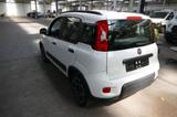 Fiat Panda City Life*Klima*PDC*SITZHEIZUNG*8 FACH BRE - gebrauchte Fiat Panda aus dem Jahr 2021