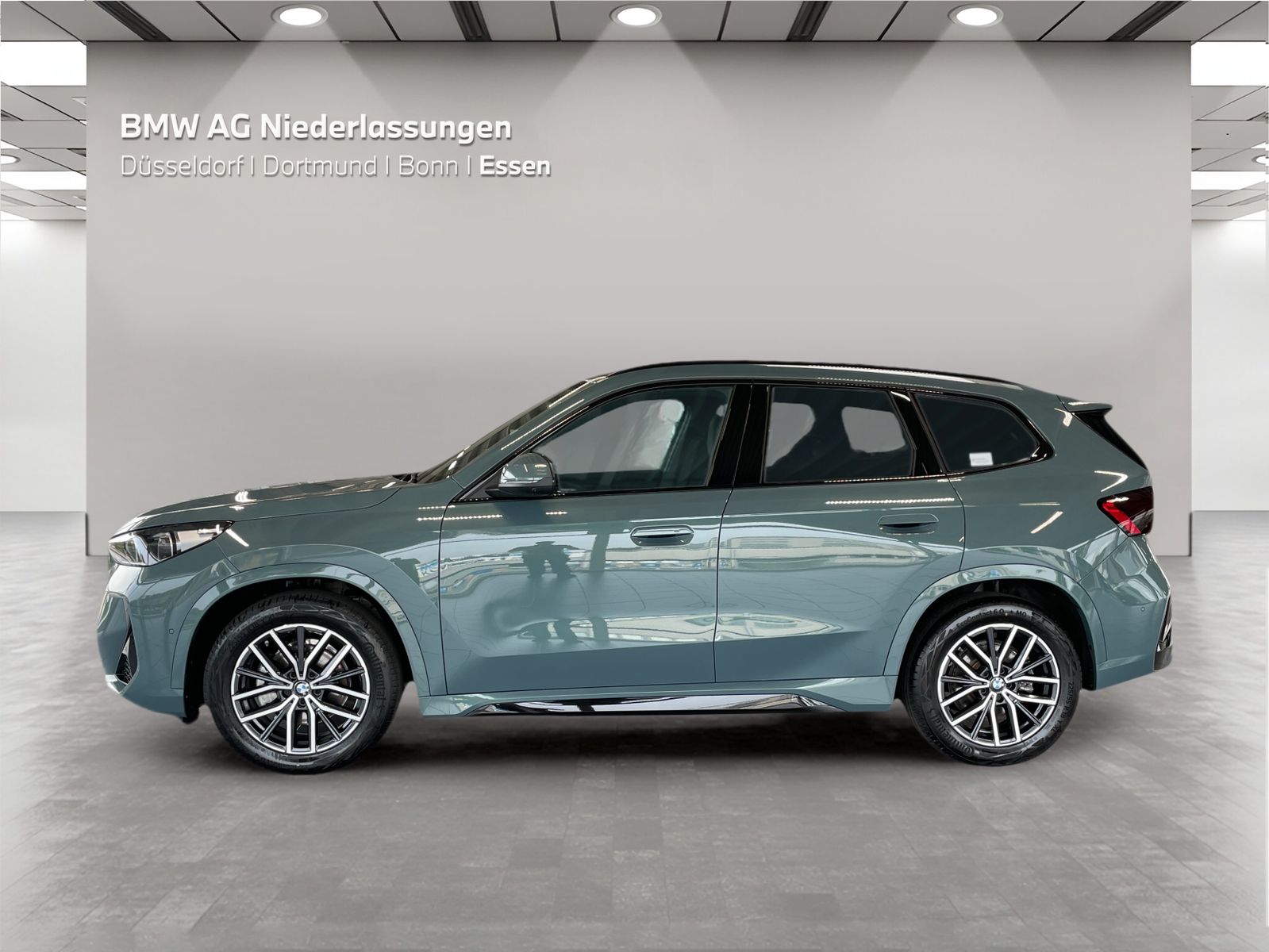 BMW X1 xDrive20d M Sport AHK Driv.Assist.Prof LED foto 5