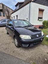 Fiat Panda günstig abzugeben - Fiat Panda in Kiel