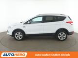Ford Kuga 1.5 EcoBoost Sync Edition - Ford Kuga Gebrauchtwagen in Erfurt