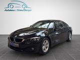 BMW 420i GC Advantage/AHK/LED/Memory/HiFi/PDC - BMW 420 Gebrauchtwagen