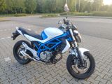 Suzuki SVF 650 Gladius - HU/AU neu - Angebote entsprechen deinen Suchkriterien