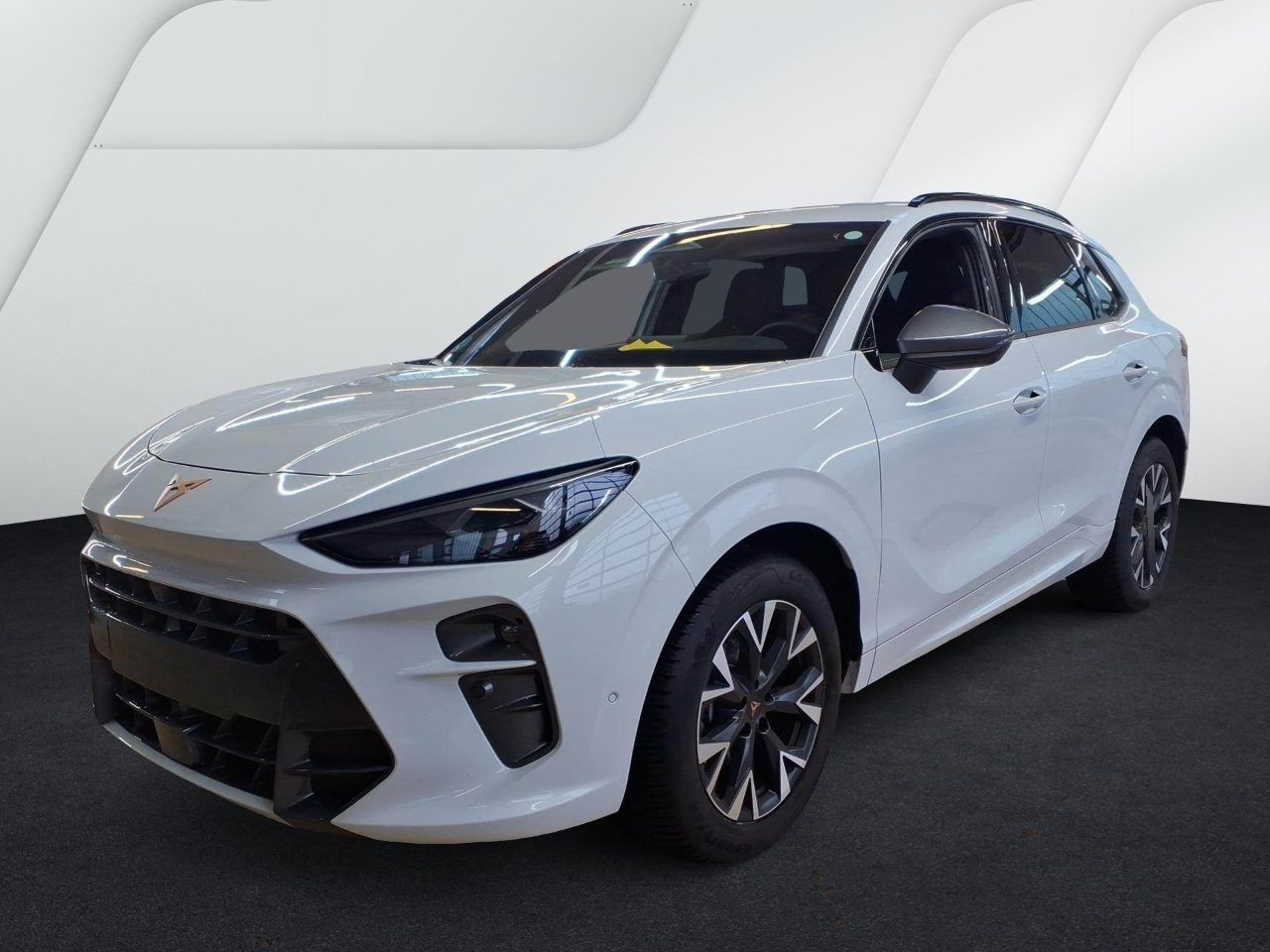 Cupra Terramar - Bild 2