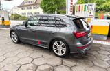 Audi SQ5 3.0 TDI tiptronic quattro - - Audi SQ5 aus 2014