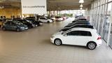 Volkswagen Tiguan 1.5 TSI Life UNITED OPF DSG+SHZ+DAB+USB+ - : Geländewagen, Us