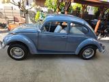 Volkswagen Käfer - graue Volkswagen Käfer